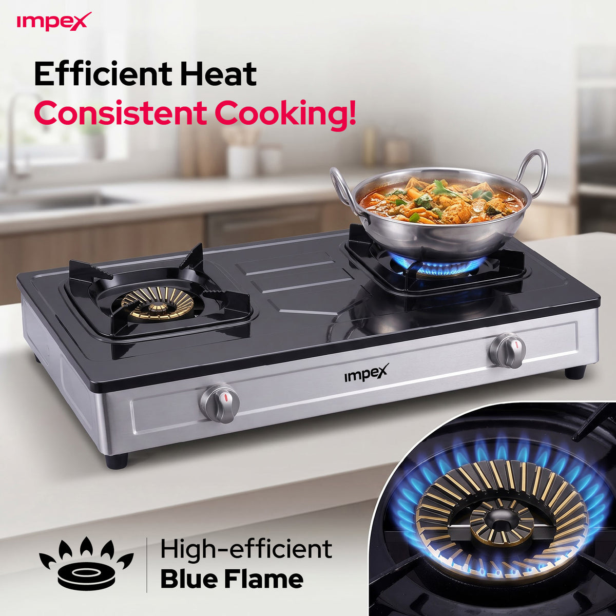 Impex 2 Burner LP Gas Stove Stainless Steel Heavy(IGS 121)