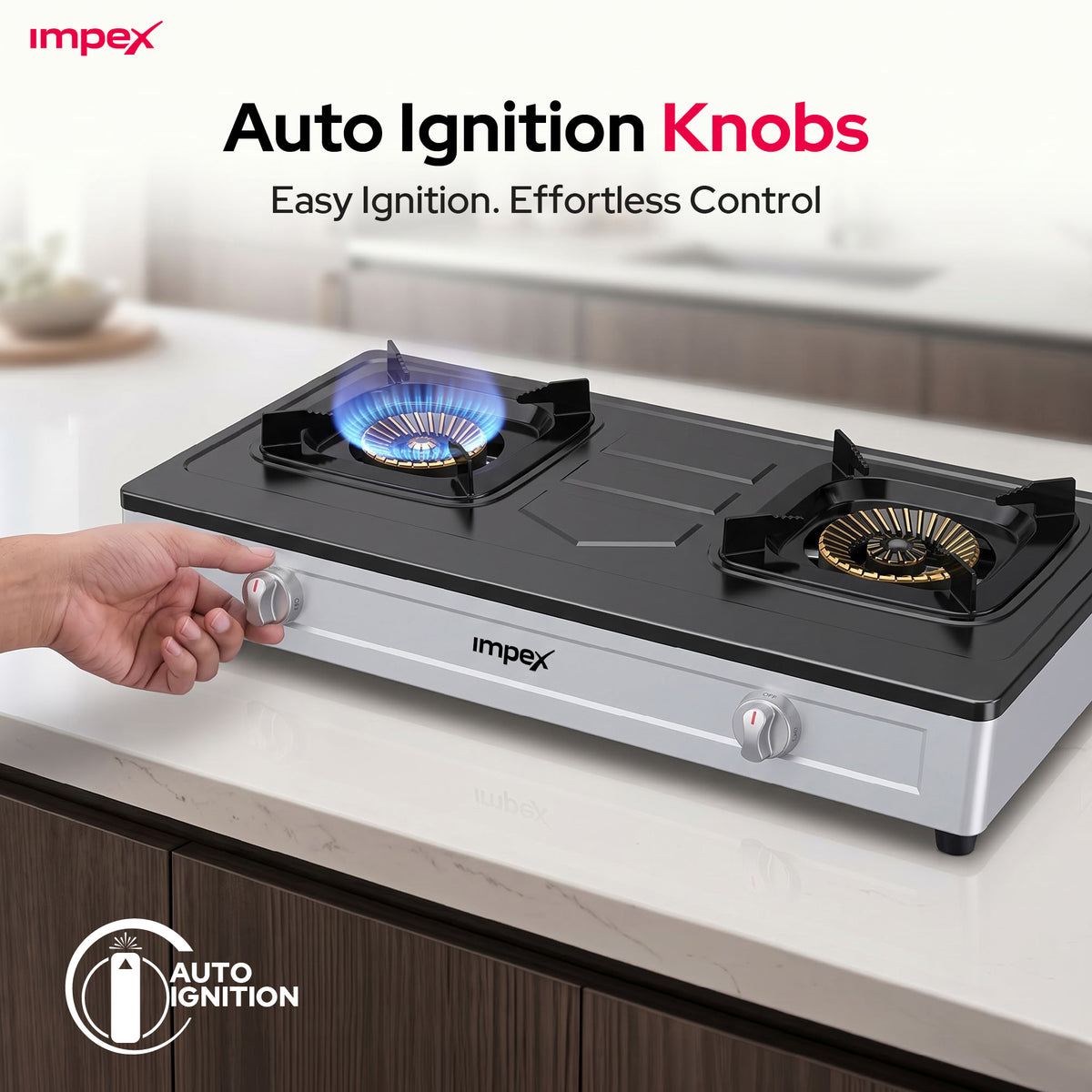 Impex 2 Burner LP Gas Stove Stainless Steel Heavy(IGS 121)
