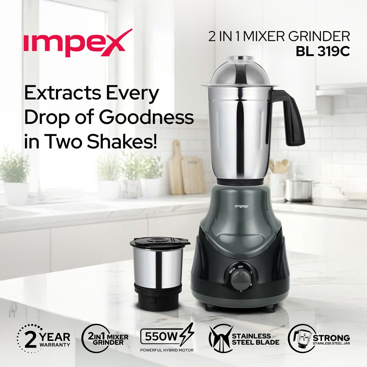 Impex BL-319C 2-in-1 Mixer Grinder – 550W Hybrid Motor, Made in India