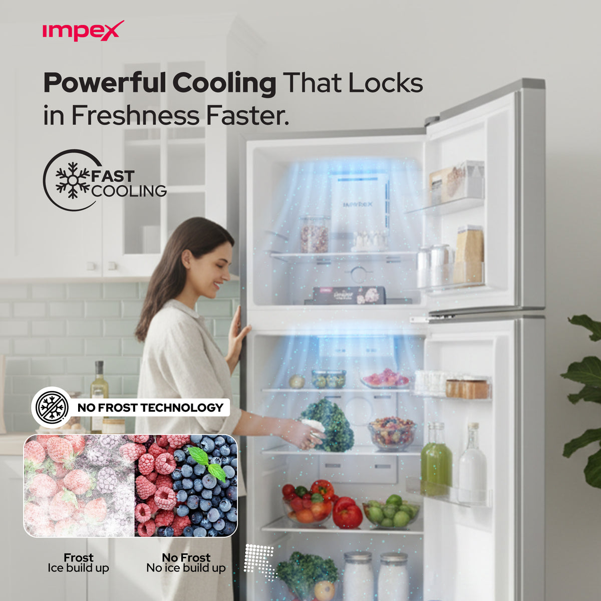 Impex IRF250S 270L No Frost Inverter Refrigerator – 10-Year Compressor Warranty, Dark Silver