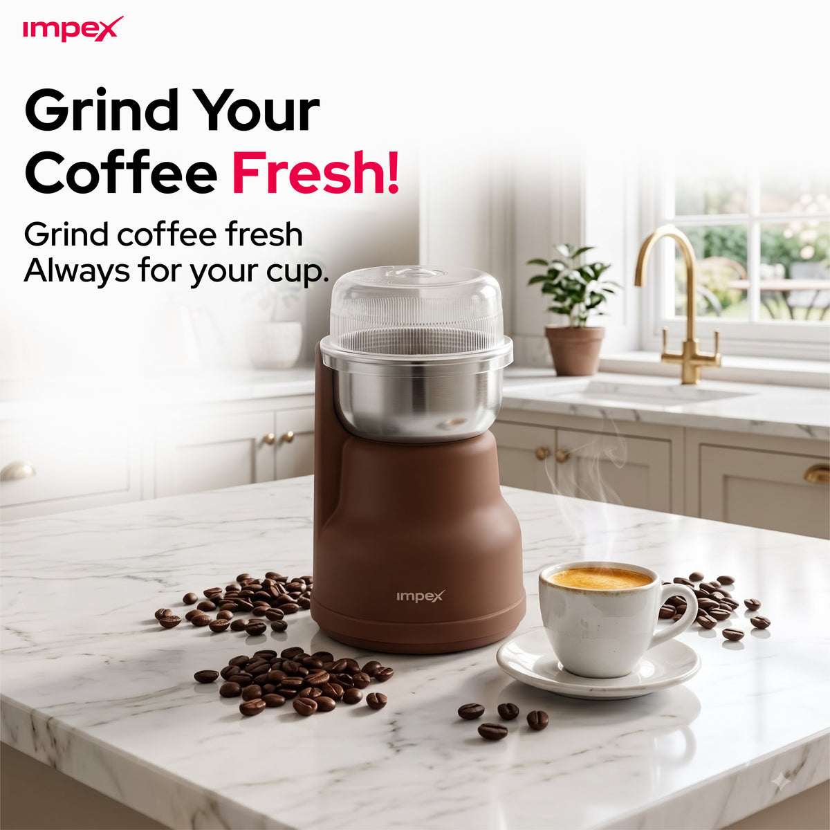 Impex CG3401 – 200W Coffee Grinder with Stainless Steel Blade & Overheat Protection